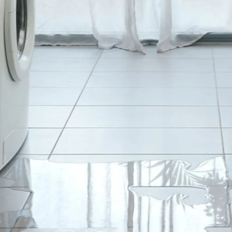 Appliance Leak Cleanup in Wakefield, NH