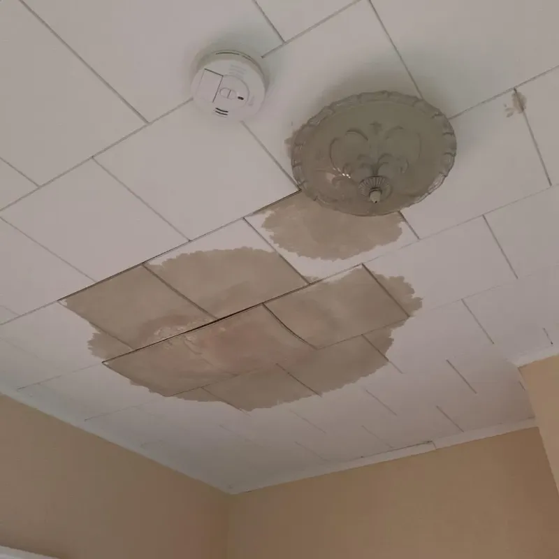 Ceiling Water Damage Repair in Wakefield, NH