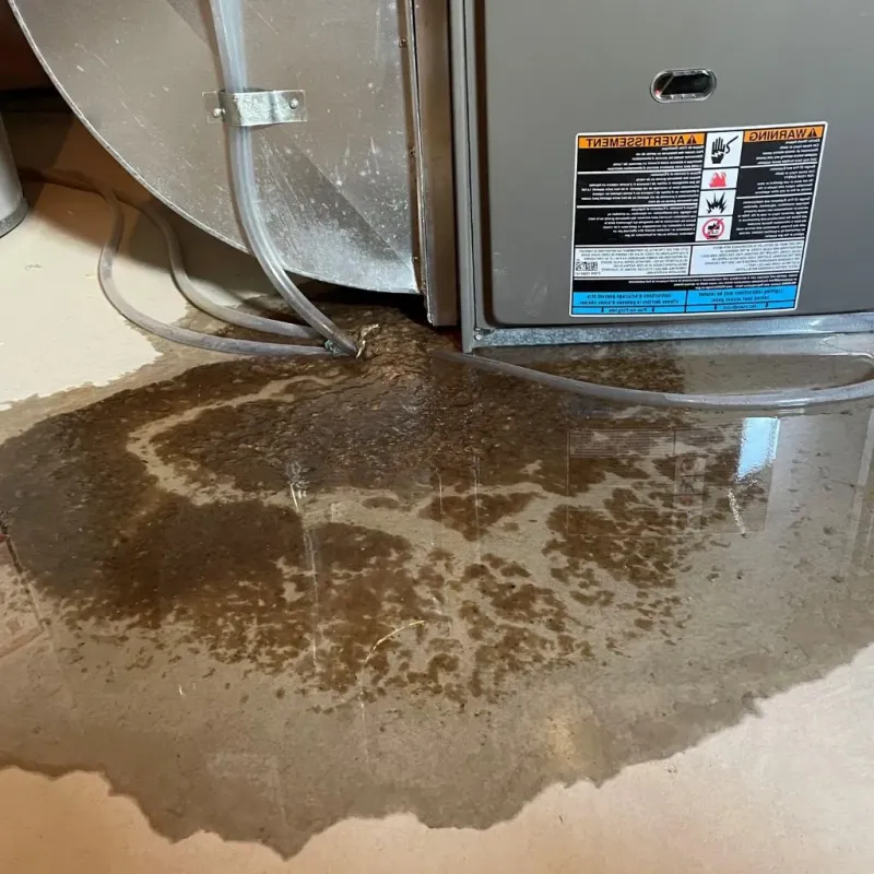 Pipe Burst and Leak Restoration in Wakefield, NH